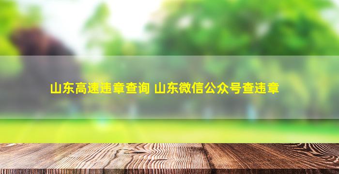 山东高速违章查询 山东微信公众号查违章